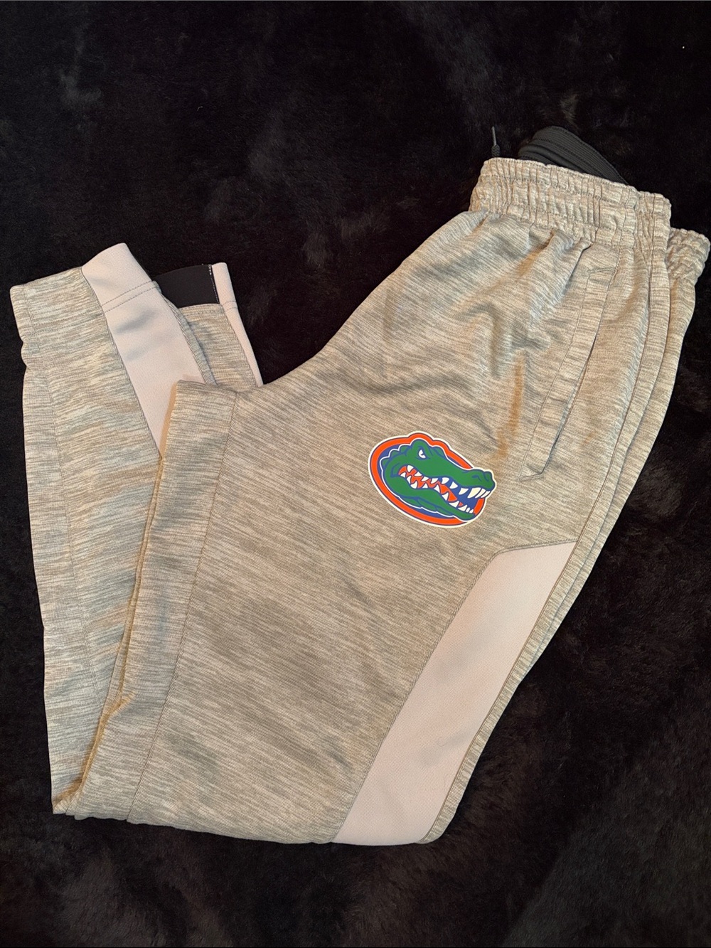 Florida Gators Jordan brand men’s jogger sweatpants